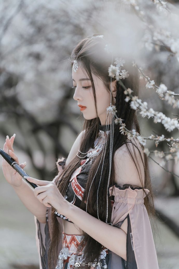 我的团长我的团 封面